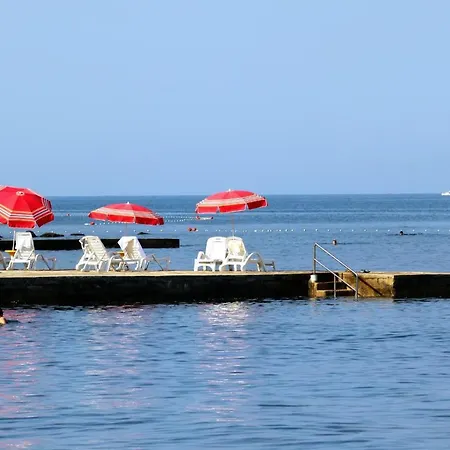 7666a Umag